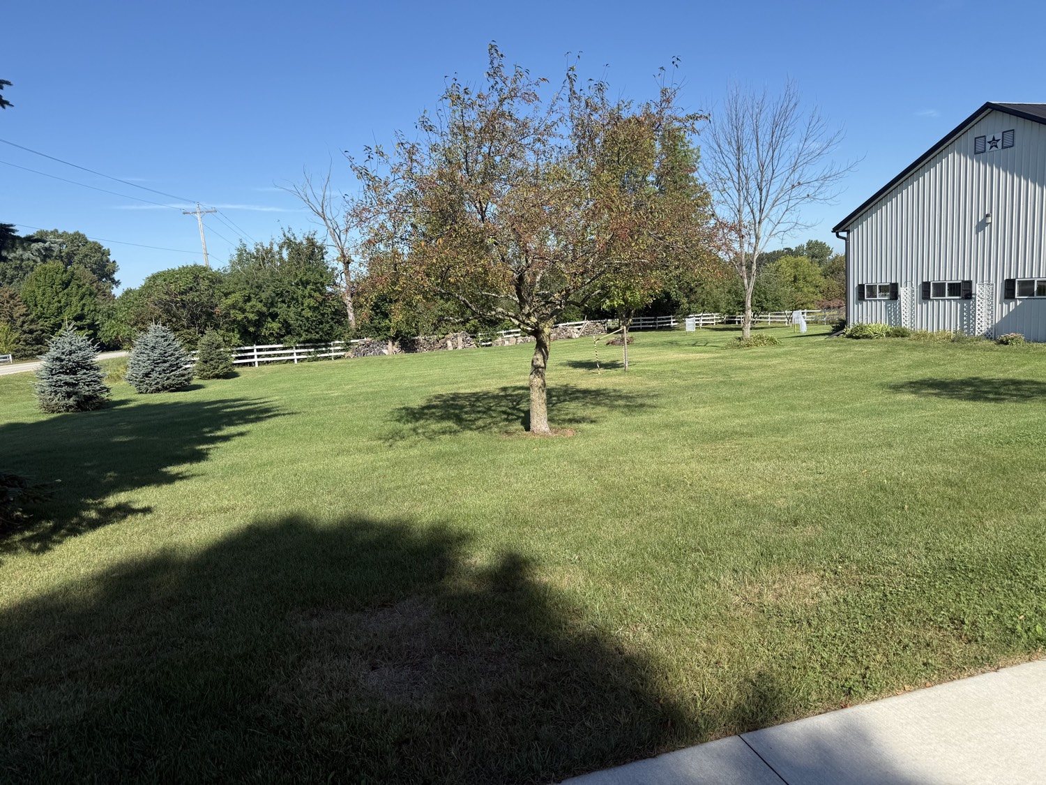 Open rural lawn mowed around a fruit tree beside a white pole barn